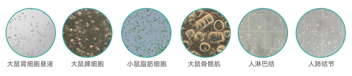 單細胞懸液制備儀樣品范圍.png