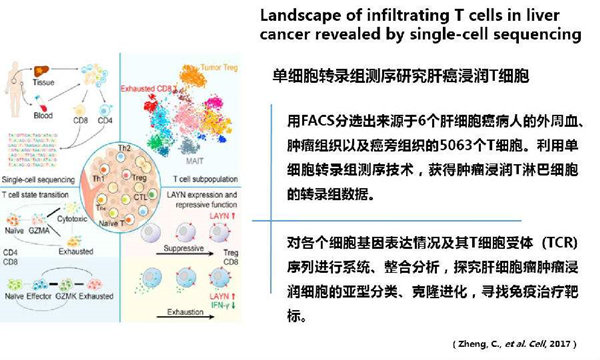 RNA-seq單細胞轉(zhuǎn)錄組測序在眼科領域中的研究應用