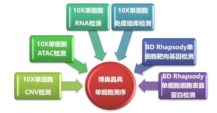 單細胞懸液制備—杉米生物科技