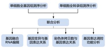 單細胞轉(zhuǎn)錄組測序的方法原理及應(yīng)用