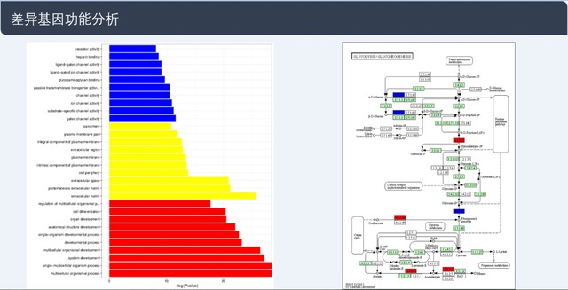 單細胞轉錄組測序(10x Genomics)詳解